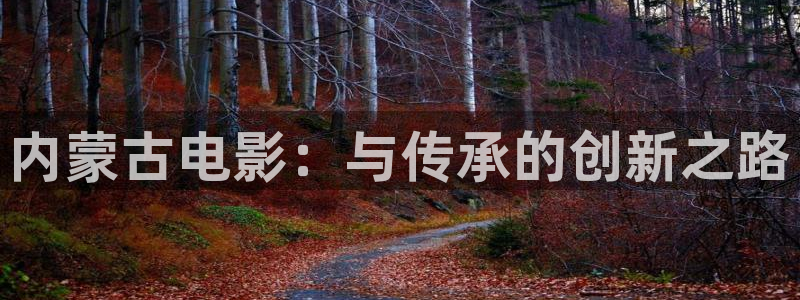 飘雪影视粤语观看西瓜：内蒙古电影：与传承的创新之路