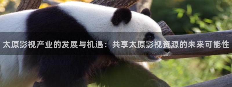 飘雪影院电视剧：太原影视产业的发展与机遇：共享太原影视资源的未来可能性