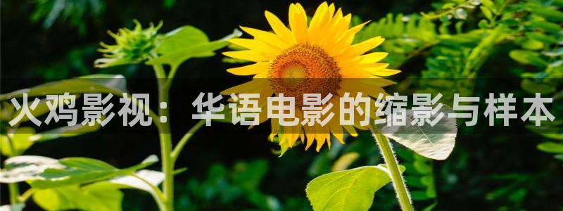 飘雪影院最新热播剧