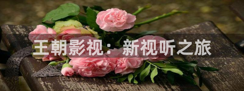 飘雪影院手机免费高清版：王朝影视：新视听之旅