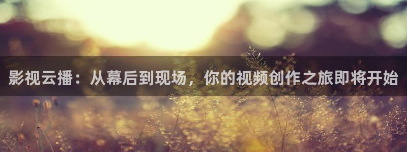 飘雪影院在线观看西瓜高清免费版