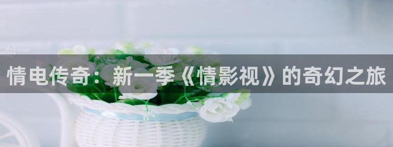 飘雪影院免费观看方法：情电传奇：新一季《情影视》的奇幻之旅